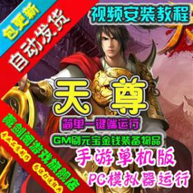 天尊手机网游单机版GM刷元宝装备物品领首充支持手机支持局域网