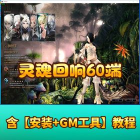 稀有怀旧网单 【灵魂回响 60 端】 VM 一键单机版 GM 充值邮件工具