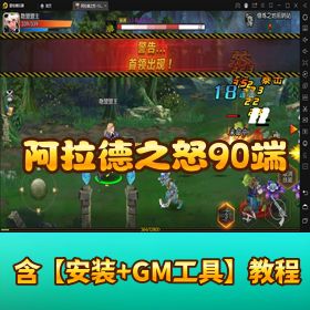稀有精品手游《阿拉德之怒 90 端》VM 一键单机端！GM 网页管理后台