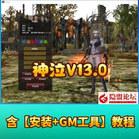 稀有网单《神泣 V13.0》破解免虚拟机一键单机端无绑定无限制GM 脚本命令