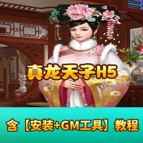 【真龙天子 H5】稀有精品端｜VM 一键单机端｜隐盟视频教程