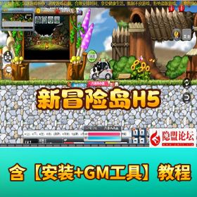 价值 1000 元【新冒险岛 H5】最新 VM 一键单机端 手工外网服务端 提供无加密 JS GM 后台