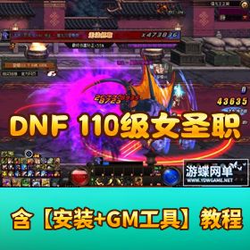 最新整理 DNF 单机 【110 级女圣职 3 职业全职业【柔化辟邪玉英豪模式巴卡尔