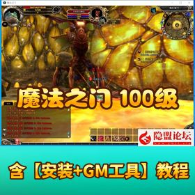 【魔法之门】最新版免VM一键单机端 100 级汉化 + 全功能正常 + GM 脚本