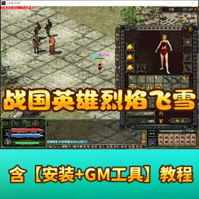 【战国英雄 - 烈焰飞雪】 VM 一键单机端支持 Win10 系统 GM 命令代码