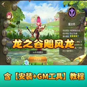稀有精品手游【龙之谷飓风龙】VM 一键端！GM 充值物品后台 + 视频教程