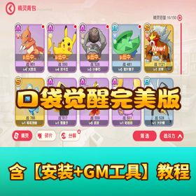 《口袋觉醒完美版》VM 虚拟机一键单机端！运营后台 + 架设视频教程 + 客户端