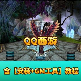 稀有网单 【QQ 西游】 VM 一键端视频教程 GM 教程工具