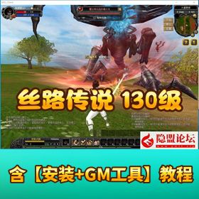 价值 200 元最新版《丝路传说》130 级新增 20 套装备辅助外挂VM单机端