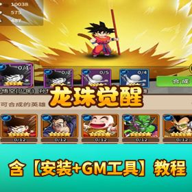 《龙珠觉醒》VM 一键单机端！GM 充值 + 物品后台 + 视频教程