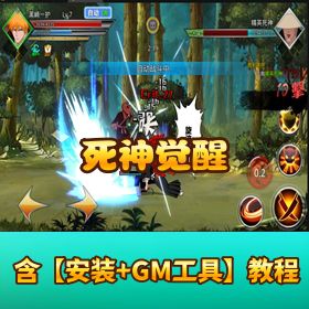 价值 3000 元《死神觉醒》VM 一键端 + 外网端 + GM 后台