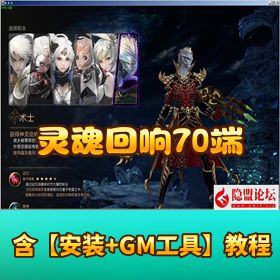 稀有怀旧网单 【灵魂回响 70 端】 VM 一键单机版 仅支持 WIN7系统GM命令物品全ID