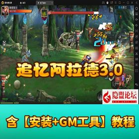 【追忆阿拉德 3.0 完整版 60 帧优化】VM 一键单机 + 双后台+ 双端 + 配套表格
