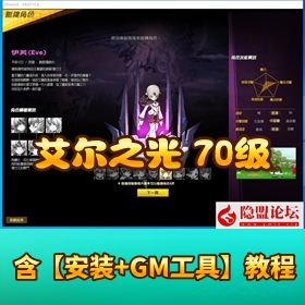 稀有精品网单【艾尔之光】70 级 VM 一键单机版 + 技能效果拉满 + 游戏修改视频教程