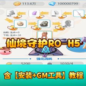 稀有 RO 怀旧 H5 手游 竖版【仙境守护 RO】VM 一键单机端 手工外网服务端 GM+CDK 授权后台