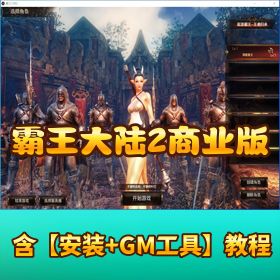 【霸王大陆 2】 商业版 VM 一键单机端带隐盟视频教程 GM 充值邮件工具