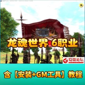 【龙魂世界 6 职业降临】！VM 一键单机版 + PC 客户端 + 网页注册，隐盟视频教程