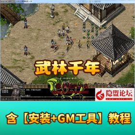 精品网单《武林千年》独家破解免虚拟机一键单机端重返王陵二层武功大窗口