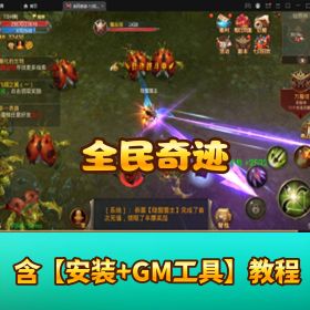 《全民奇迹》VM 一键单机端！GM 管理后台 + 视频教程