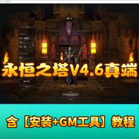稀有经典【永恒之塔 V4.6 真端】 VM 虚拟机单机版任务全修复GM工具