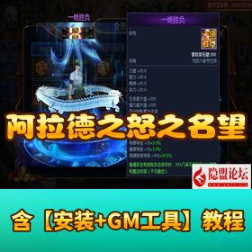 【阿拉德之怒名望黎明精修版】VM 一键单机 + 双 GM 后台 + Linux 外网端 + 双端