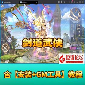 【剑道武侠之将军不败】VM 一键单机端 Linux 手工服务端 双端适配 GM 授权充值邮件后台