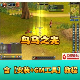 稀有怀旧网单 【鸟马之光 VM】 一键单机端 网页发货商城GM工具