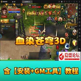 3D 传奇手游【血染苍穹】免虚拟机一键单机端 假人陪玩 隐盟视频教程 GM 充值工具
