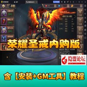 魔幻 RPG 神作！《荣耀圣戒内购版》VM 一键单机 + 隐盟视频教程速冲