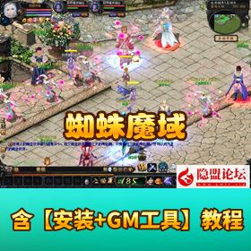 独家怀旧【蜘蛛魔域商业】 PC 版六职业 + 新装备新宝宝 VM 一键单机带 GM 工具